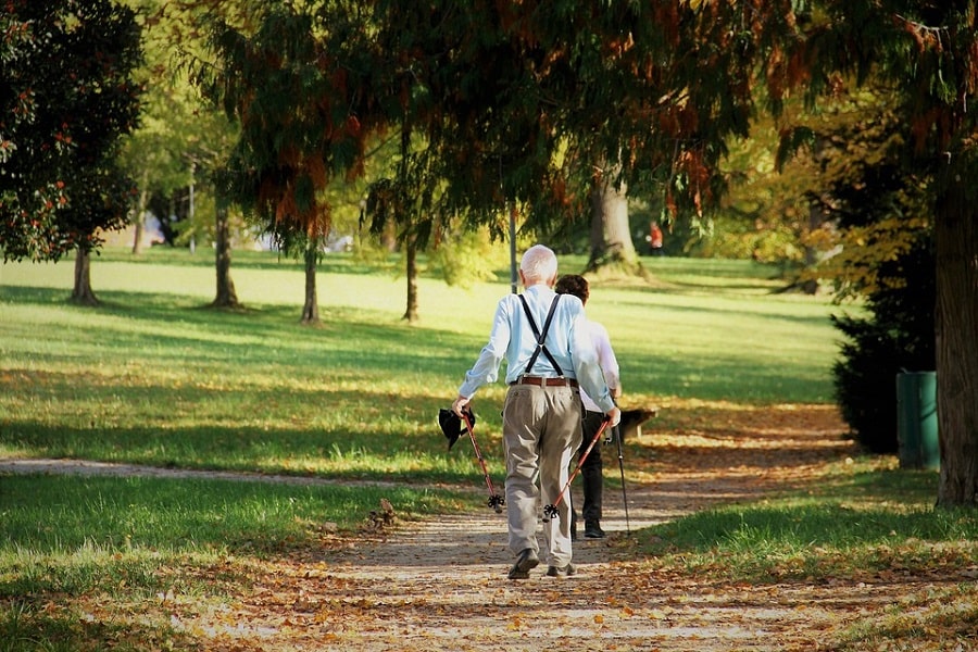 seniorzy w parku